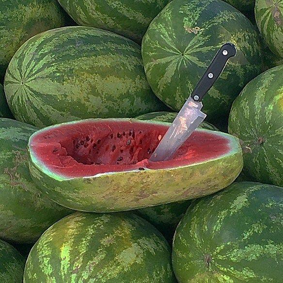Field to Feast: Exotic Fruit Ensemble and Earthy Veggies